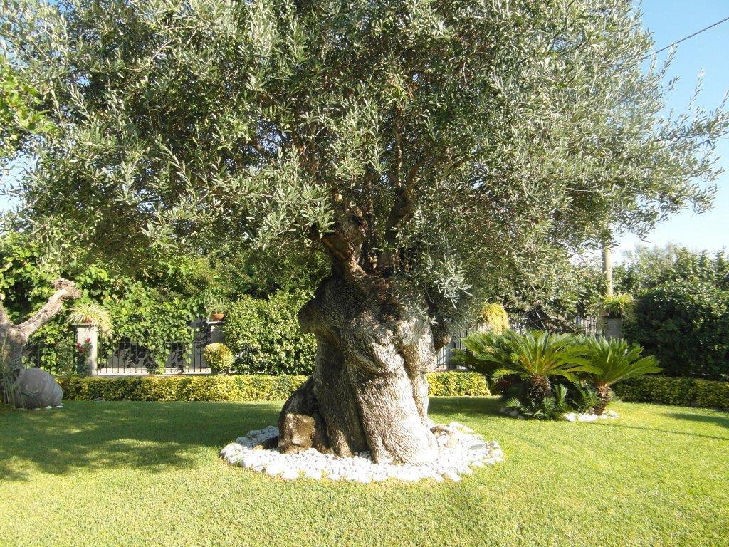 B&B Villa Lura Pompéi Extérieur photo